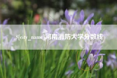 沧州河南消防大学分数线