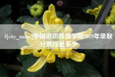 沧州中国消防救援学院2019年录取分数线是多少