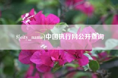沧州中国执行网公开查询