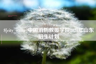 沧州中国消防救援学院2021年山东招生计划