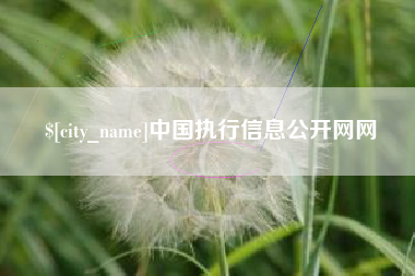 沧州中国执行信息公开网网