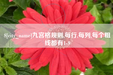沧州九宫格规则,每行,每列,每个粗线都有1-9