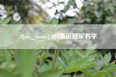沧州2024奥运冠军名字