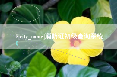 沧州消防证初级查询系统