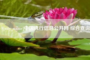 沧州中国执行信息公开网 综合查询