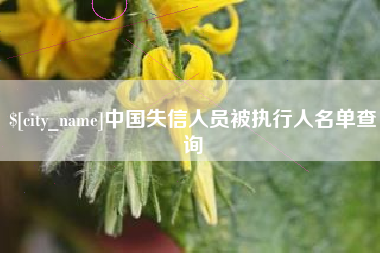沧州中国失信人员被执行人名单查询