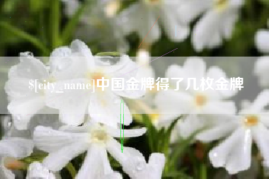 沧州中国金牌得了几枚金牌