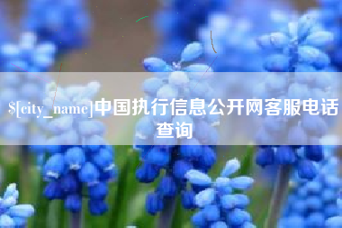 沧州中国执行信息公开网客服电话查询