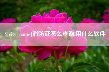 沧州消防证怎么查询,用什么软件