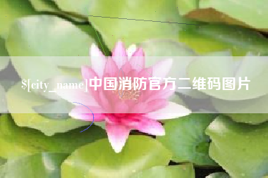 沧州中国消防官方二维码图片