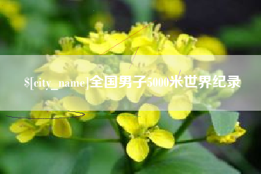 沧州全国男子5000米世界纪录