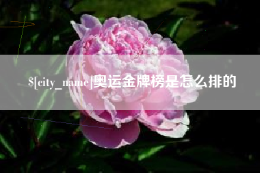 沧州奥运金牌榜是怎么排的