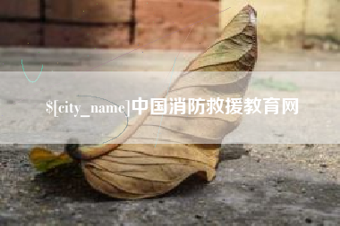沧州中国消防救援教育网