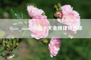 沧州中国十大金牌律师名单