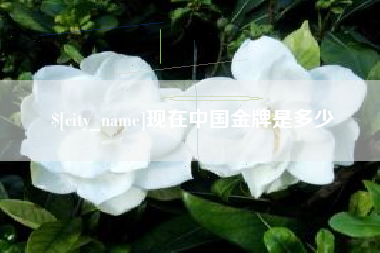 沧州现在中国金牌是多少