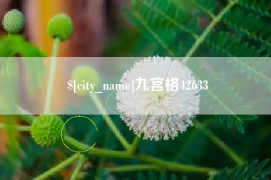 沧州九宫格42633