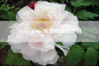 沧州应急救援员价格