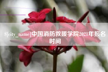 沧州中国消防救援学院2021年报名时间