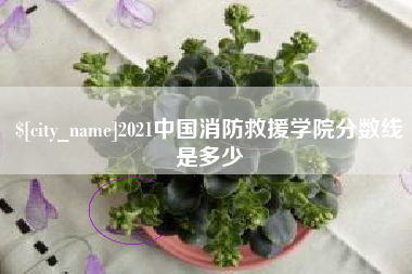 沧州2021中国消防救援学院分数线是多少
