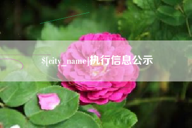 沧州执行信息公示