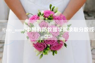 沧州中国消防救援学院录取分数线2020
