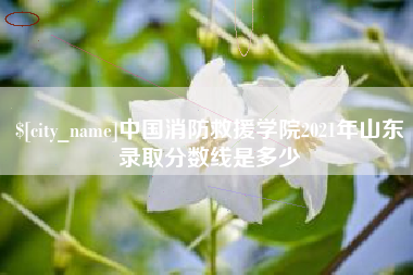 沧州中国消防救援学院2021年山东录取分数线是多少