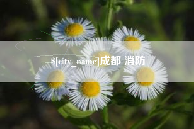 沧州成都 消防