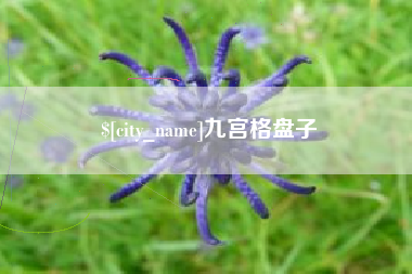沧州九宫格盘子