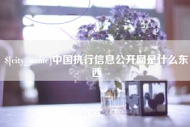 沧州中国执行信息公开网是什么东西