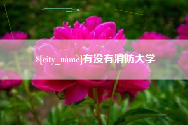 沧州有没有消防大学