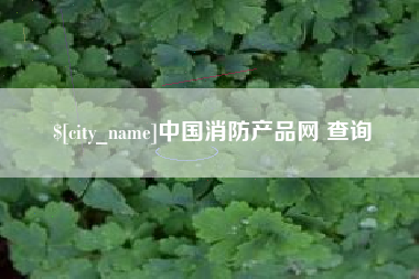 沧州中国消防产品网 查询