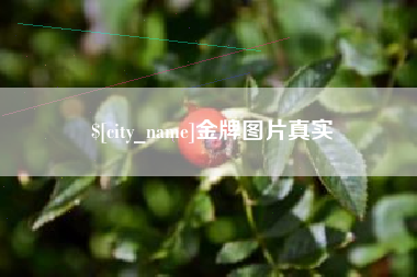 沧州金牌图片真实