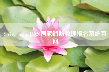 沧州2020国家消防救援报名系统官网