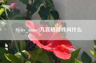 沧州九宫格游戏叫什么