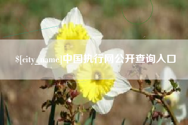 沧州中国执行网公开查询入口