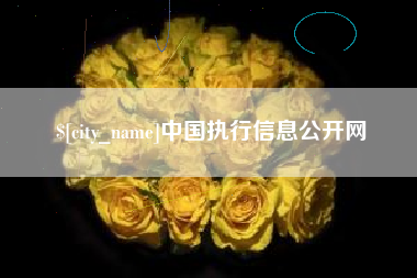 沧州中国执行信息公开网