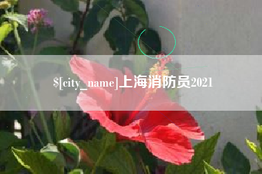 沧州上海消防员2021