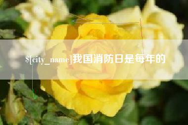 沧州我国消防日是每年的