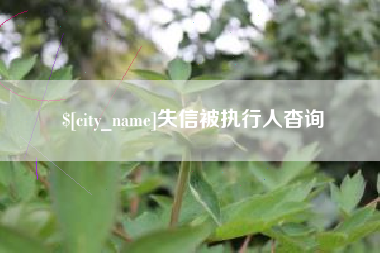 沧州失信被执行人杳询