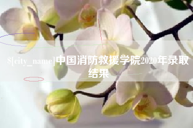 沧州中国消防救援学院2020年录取结果