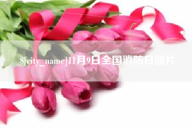 沧州11月9日全国消防日图片