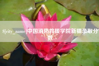 沧州中国消防救援学院新疆录取分数