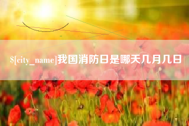 沧州我国消防日是哪天几月几日