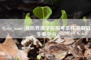 沧州消防救援学院报考条件湖南招生多少分