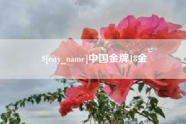 沧州中国金牌18金