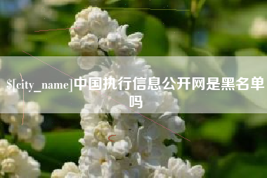 沧州中国执行信息公开网是黑名单吗
