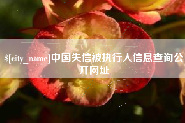 沧州中国失信被执行人信息查询公开网址
