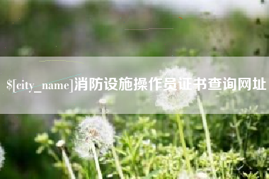 沧州消防设施操作员证书查询网址