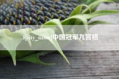 沧州中国冠军九宫格