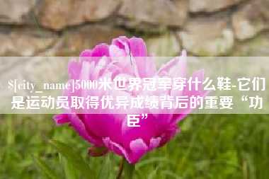 沧州5000米世界冠军穿什么鞋-它们是运动员取得优异成绩背后的重要“功臣”